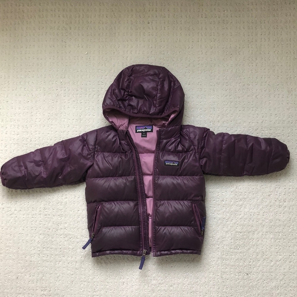 Patagonia Toddler Puff Jacket